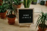 Cozy indoor setup featuring various potted plants and a "HOME JUNGLE" sign.